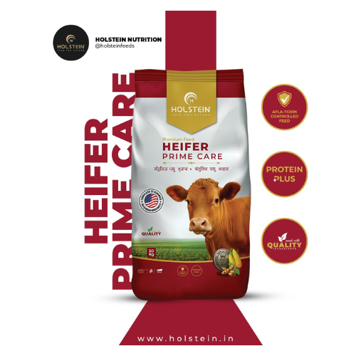 HEIFER PRIME CARE