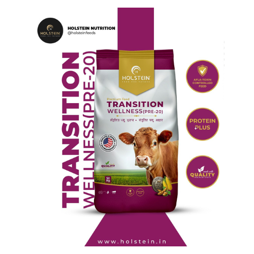 TRANSITION WELLNESS (PRE-20)